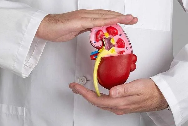 БЪБРЕЧНО-КАМЕННА БОЛЕСТ, ЧАСТ 1