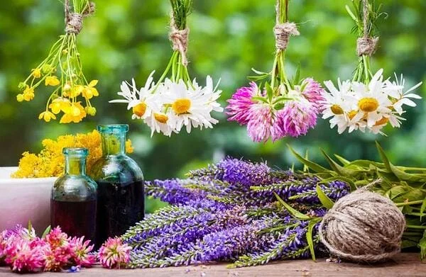 Най-мощните природни антибиотици