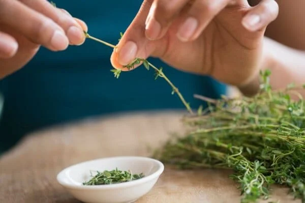 Мащерка – защо да я добавяме към всяко ястие?