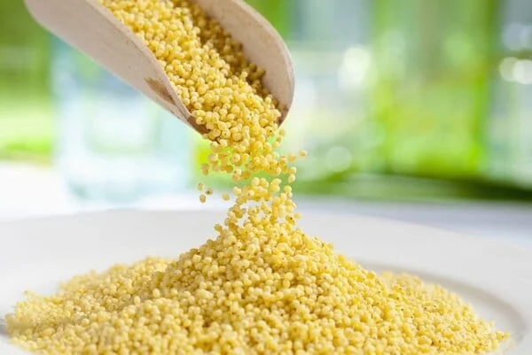 Просото е една от най-полезните зърнени култури в света