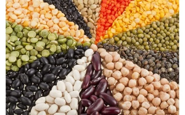 БОБЪТ Е СИЛА