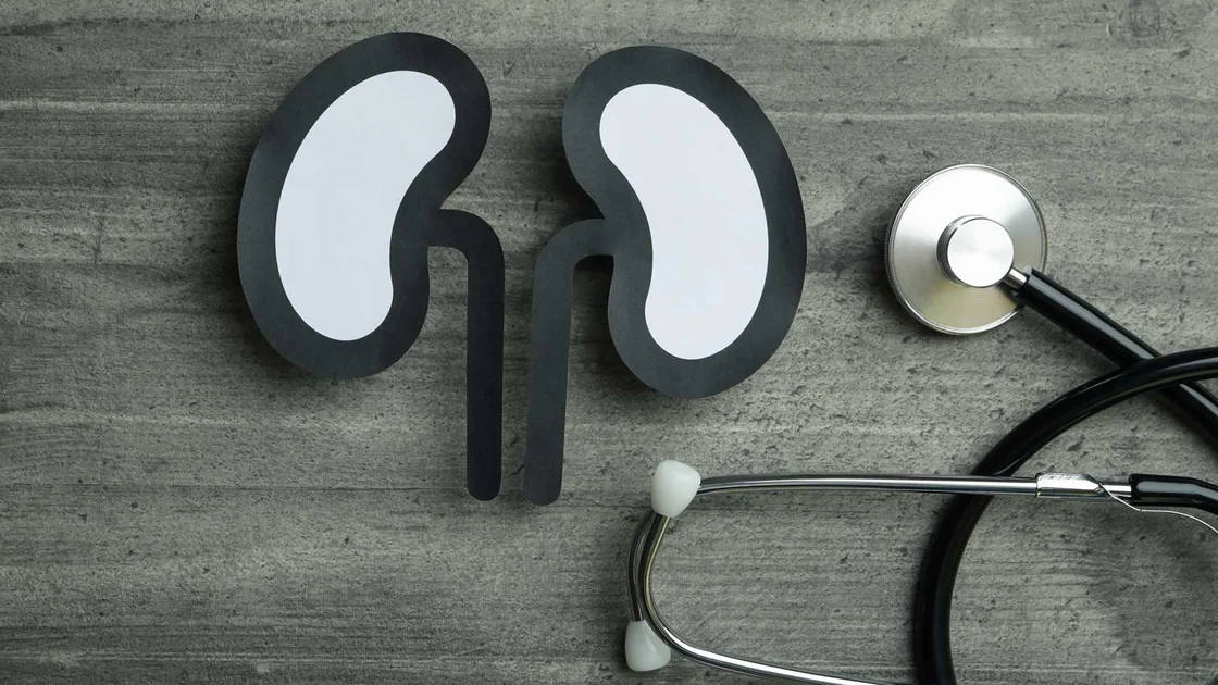 Болка в бъбреците - причини и лечение