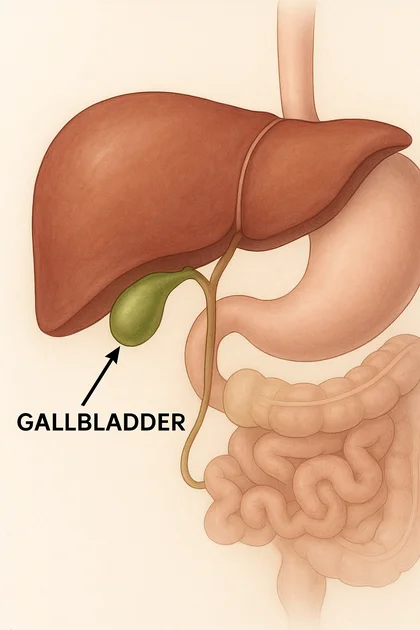 Отстранен жлъчен мехур - какво следва?