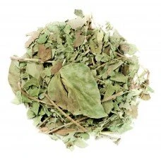 Бръшлян – folia (Hedera helix L.)