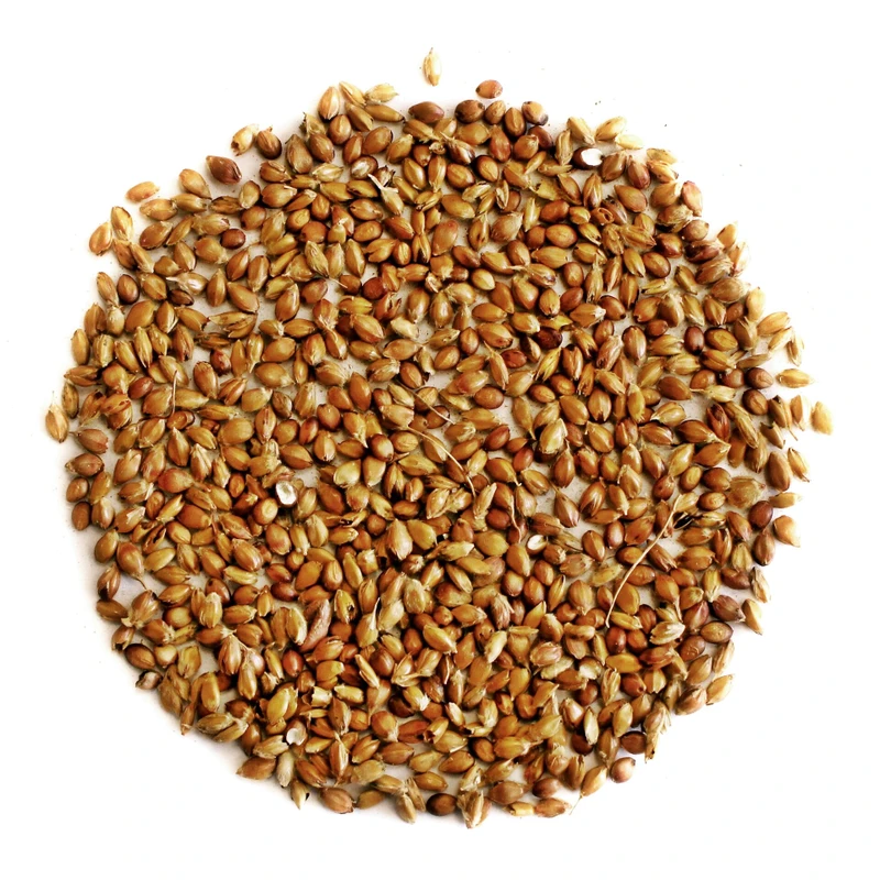 Метла семе (Sorghum – semen), 250g