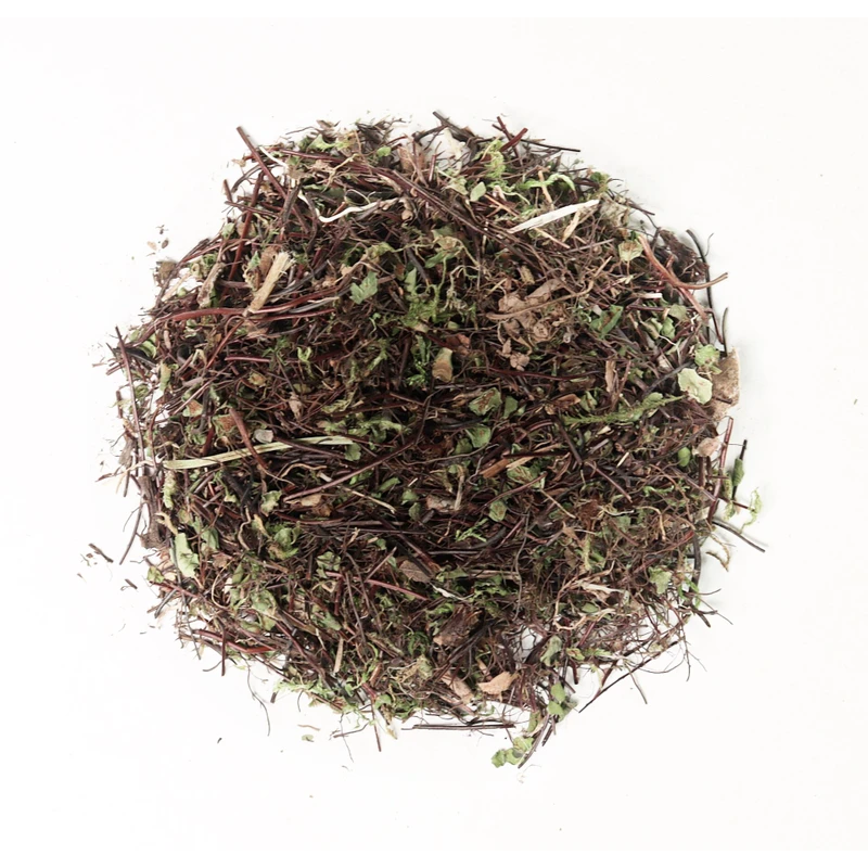 Папрат мъжка