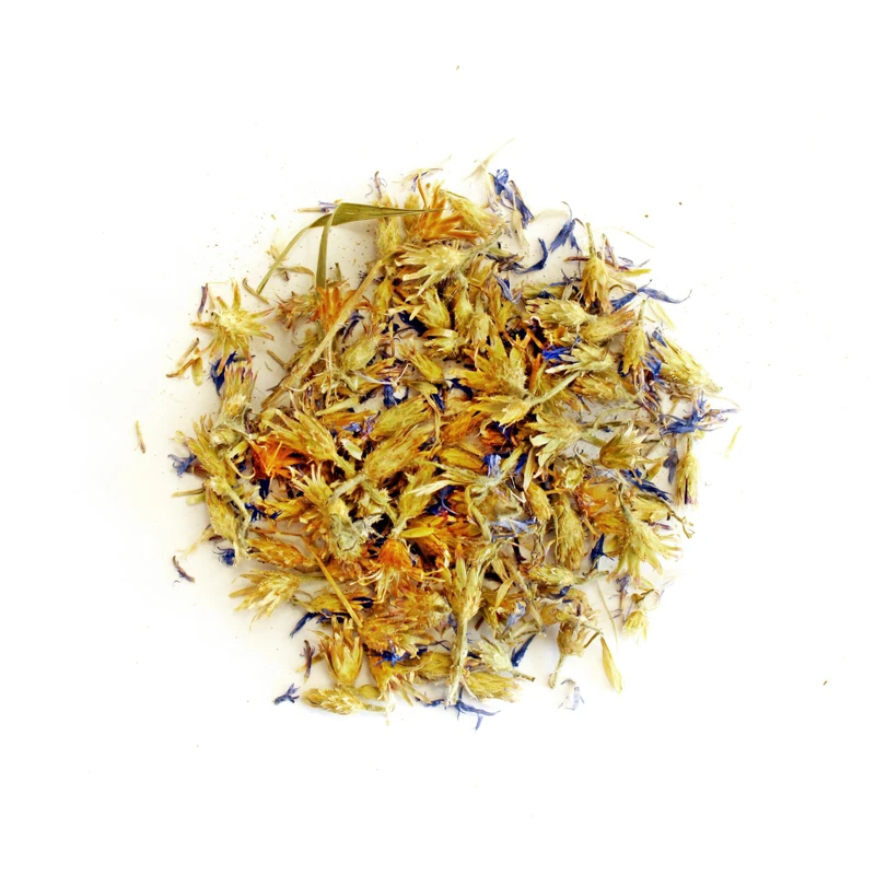 Синчец стрък (Centaurea cyanus L.– herba)